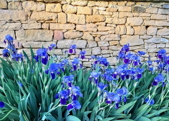 Clos Lamonzie Σπίτι διακοπών Sarlat-la-Caneda