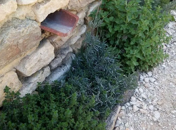 Σπίτι διακοπών Clos Lamonzie *